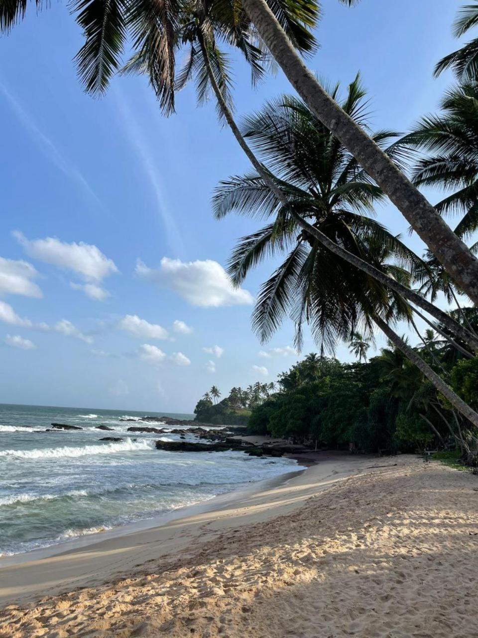 Zodiak Hotel Tangalle Exterior photo